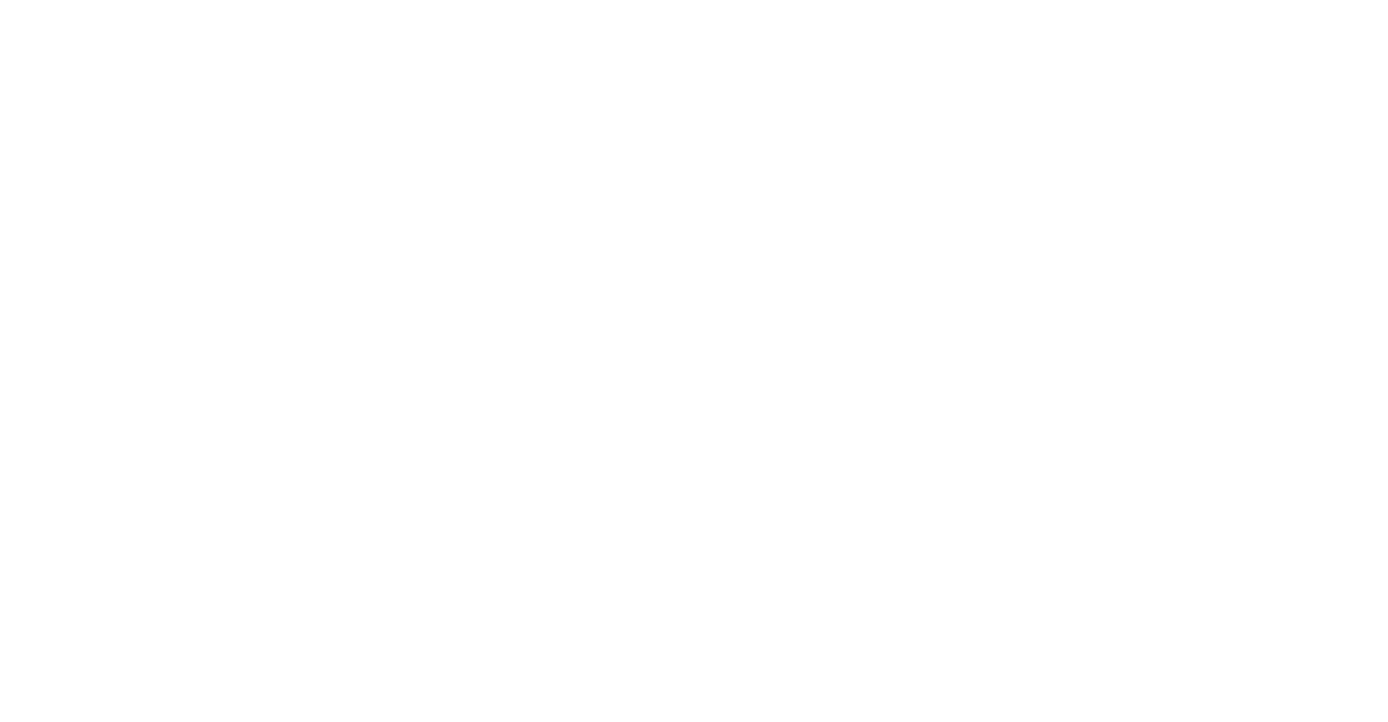 LizArt Retouch Studio